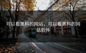 可以看黑料的网站，可以看黑料的网站软件