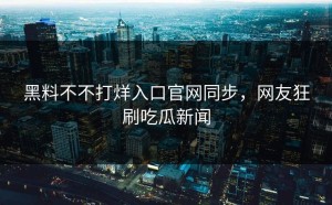 黑料不不打烊入口官网同步，网友狂刷吃瓜新闻