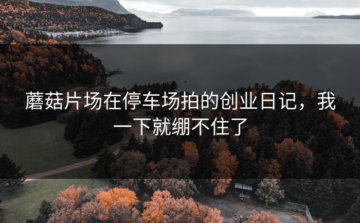 蘑菇片场在停车场拍的创业日记,我一下就绷不住了 蘑菇片场在停车场拍的创业日记,我一下就绷不住了
