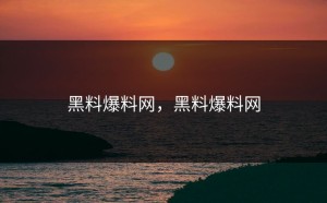 黑料爆料网，黑料爆料网