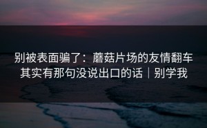 别被表面骗了：蘑菇片场的友情翻车其实有那句没说出口的话｜别学我