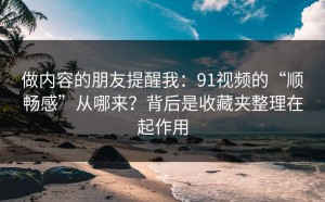 做内容的朋友提醒我：91视频的“顺畅感”从哪来？背后是收藏夹整理在起作用